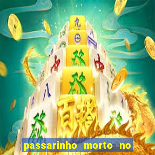 passarinho morto no quintal significado espiritual